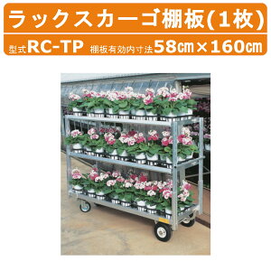 nbNX bNXJ[S I RC-TP RCTP I1 ʔi ǉ IvV tR A~   ԑ I ԒI RpNg A~ ͔| Ɩp ړ ԗ [ _ ^  ^