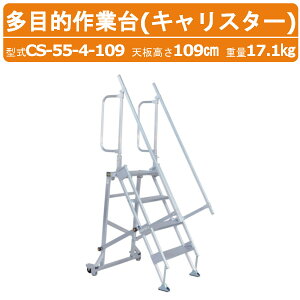 nbNX ړIƑ CS-55-4-109 CS554109 LX^[ Vt XebvL wʃLX^[^Cv A~ ͂ Ki V109cm őgp׏d100kg d17.1kg gbN q H 