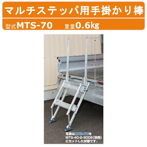 nbNX }`Xebpp肷 MTS-70 MTS70 ړIKi 肷 EZbg d0.6kg ʔi IvVgbNr y A~ RpNg Ki r A~r ⏕ nVS ͂ 