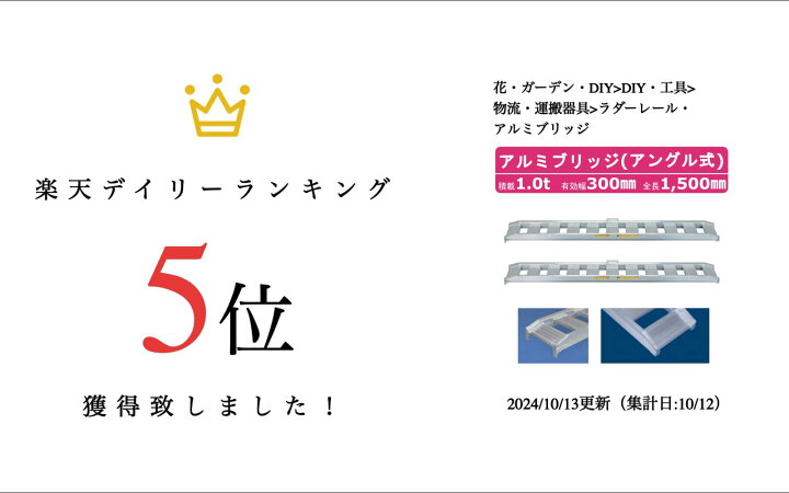 楽天市場】日軽金アクト アルミブリッジ 1t 2本セット アングル式 10 