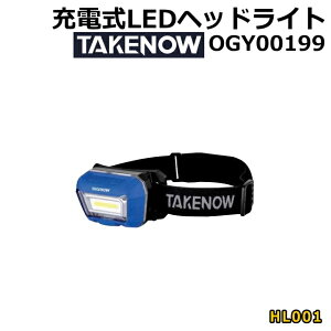 �[�d��LED�w�b�h���C�g TAKENOW OGY0019 HL001 �V�i LED���C�g �G���C�[�f�B�[���C�g �e�C�N�i�E