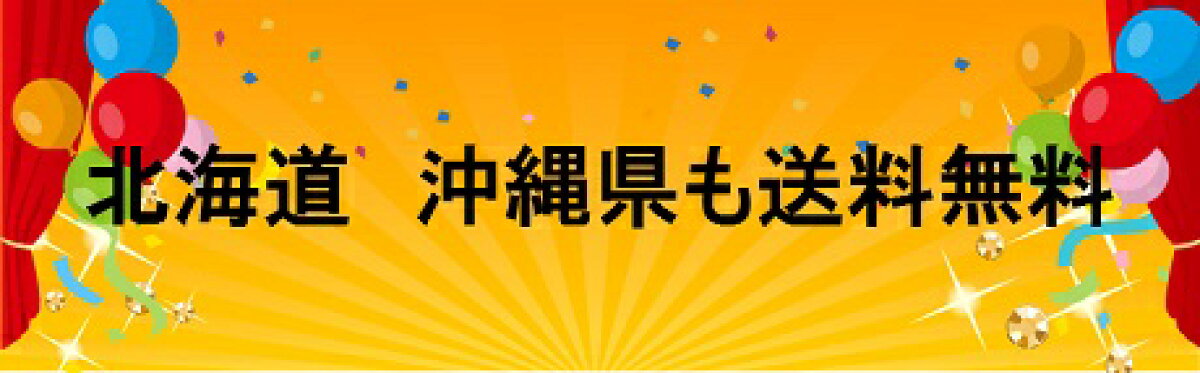 北海道沖縄送料無料