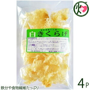 Ԗ 炰 50g×4P  yY lC LNQ LNQ NǗ A@ ~l r^~D R[Q h{Lx