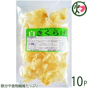Ԗ 炰 50g×10P  yY lC LNQ LNQ NǗ A@ ~l r^~D R[Q h{Lx