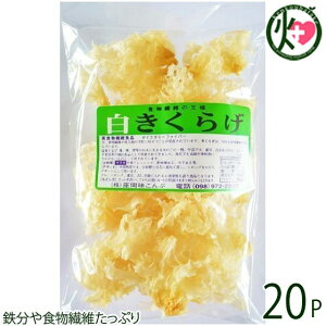 Ԗ 炰 50g×20P  yY lC LNQ LNQ NǗ A@ ~l r^~D R[Q h{Lx