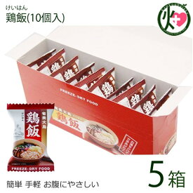 具だくさん 鶏飯 フリーズドライ 10個入り×5箱 鹿児島土産 鹿児島 土産 奄美大島 郷土料理 おすすめ メレンゲの気持ち 人気