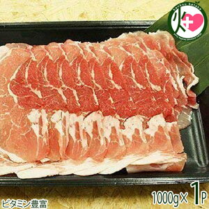 Mtg R() ᔒ؁  Ԃԗp 1kg ꌧ lC yY