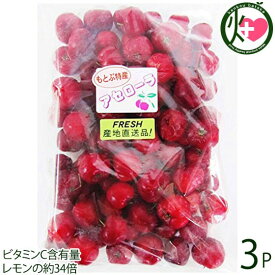 冷凍アセロラ果実 500g×3P アセローラフレッシュ ビタミンC含有量レモンの約34倍 南国フルーツ 沖縄県産