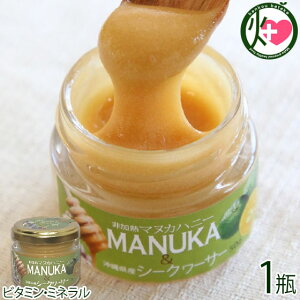 nj[t[W }kJnj[V[N[T[ 50g×1r