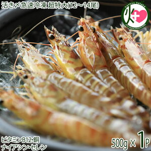 vđJ Y}Ⓚ vē̎Ԃ 500g(250g×2P) (12`14)×1 ԊCV 