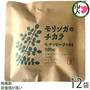 FREE OUR SOUL K̃`J Ur[Ñ^l 100×12 K   yY Md Tv h{