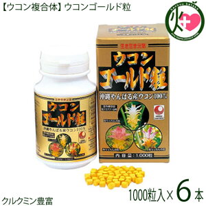 yEŔzERS[h 1000×6 HER tER ER _ N~ ꌧY