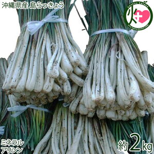 Y傤 2kg  lC 썑  yY
