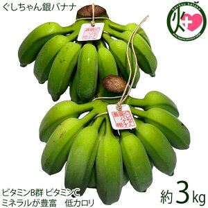 もっちり ぐしちゃん銀バナナ 約3kg 実30本前後 沖縄県八重瀬町産 有機栽培 無農薬