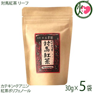 ܑΔ_ Δng eB[obO 2.5g×8×5 ׂɂӂ