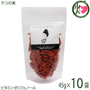 ȂVl NR̎ 45g×10P Y SWx[ vC}[ X[p[t[h