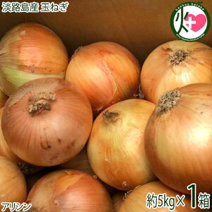 jR}[g WHY ʂ˂ 5kg×1 TCY ɌWHY ʔK ܂˂ ^}lM  傫 s