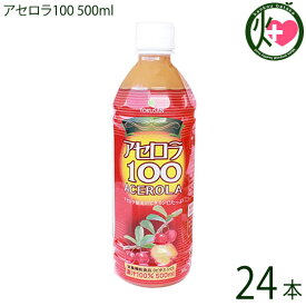 沖縄特産販売 アセロラ100 500ml×24本(1ケース) 果汁100% 沖縄土産 沖縄 土産 土産 人気 ドリンク 健康管理