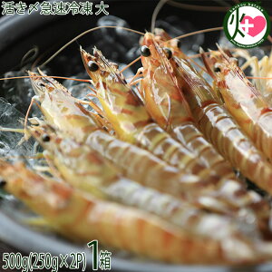 Y}Ⓚ vē̎Ԃ 500g (20`24)×1 