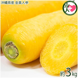 沖縄県産 金美人参 3kg 野菜 人参