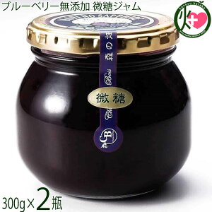 「森のサファイア」ブルーベリー無添加ジャム(微糖)300g×2瓶 森の畑
