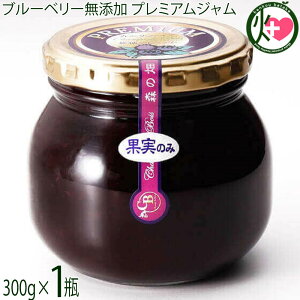 uX̃Tt@CAvu[x[YWiʎ̂݁j300g×1r X̔