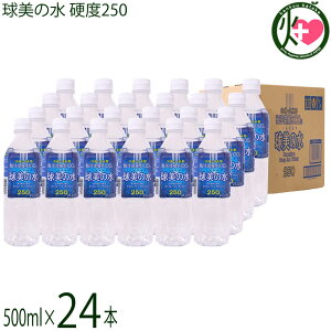 vēCm[wJ ̐ dx 250 500ml×24{