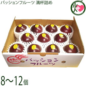 琉宮青果 パッションフルーツ 満杯詰め 8～12個入り