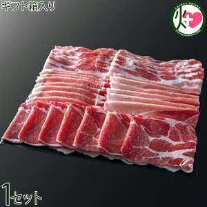 Mtg [HׂׂԂԃZbg 4 e200g×1