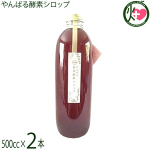 �X���_�� ���΂�y�f�V���b�v 500cc×2�{