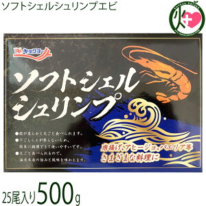 \tgVFVvGr kƃpNƃGr 500g 25×1