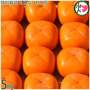 y929`115 oׁzx_ ʍ͔| ˂Ȃ` Ai 39`60ʓ 10kg