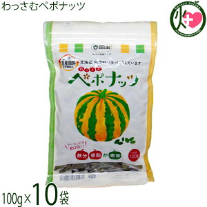 aV[Y ރy|ibc 100g×10 kC ڂ̎ XgCvy| ibc Y