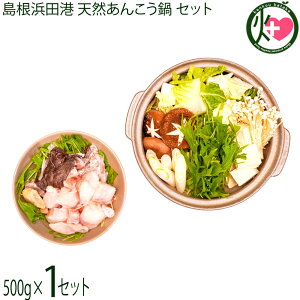 Mtg V[Ct Y VR񂱂Zbg 500g   ̑ft
