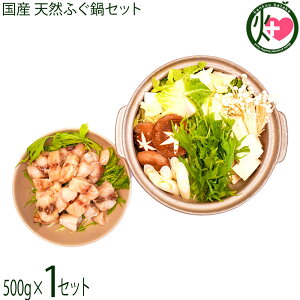 Mtg V[Ct Y VRӂ Zbg 500g   ̑ft