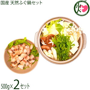 Mtg V[Ct Y VRӂ Zbg 1kg   ̑ft