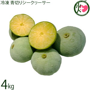 T`Ch_ Ⓚ ؂V[N[T[ 4kg  XY