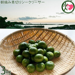 T`Ch_ Eݐ؂V[N[T[ 3kg(120`170)