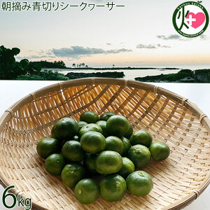 T`Ch_ Eݐ؂V[N[T[ 6kg(240`330)