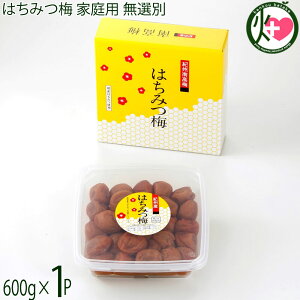 _c ݂͂~i5jƒp I 600g×1P a̎R