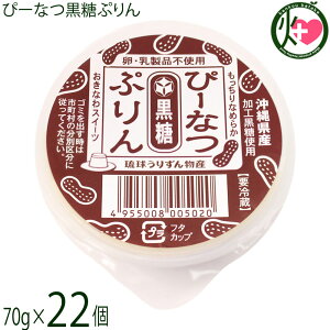 肸񕨎Y ҁ[ȂՂ 70g×22Zbg