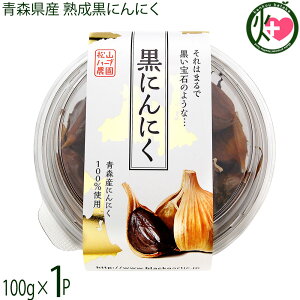 Rn[u_ XY nɂɂ 100g×1P ی^pbN