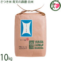 楽天市場】晴天の霹靂 10㎏の通販