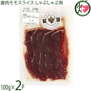 WrG XCX Ԃԗp 1.0mmXCX 100g×2P R 쒬Y