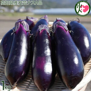 ���m���Y���|�i�XA�i 1kg