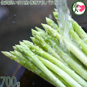 ߂ނ_ ꌧ܂Y tAXpKX 700g