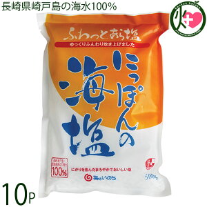 ݂ C͂̂ ɂۂ̊C 500g×10 茧˓̊C100