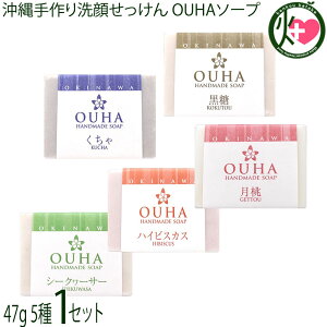 ݂Ȃ傤 ꐶ܂̖Y肹 5 e47g×1Zbg  nCrXJX  V[N[T[ 