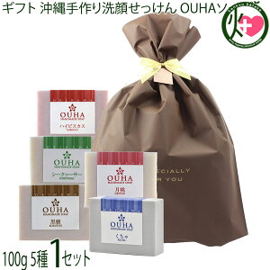 Mtg ݂Ȃ傤 ꐶ܂̖Y肹 5 e100g×1Zbg  nCrXJX  V[N[T[ 