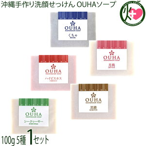 みなしょう 沖縄生まれの無添加手作りせっけん 5種 各100g×1セット くちゃ ハイビスカス 黒糖 シークヮーサー 月桃